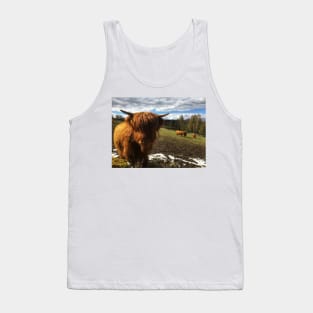 Scottish Highland Cattle Calf 1986 Tank Top